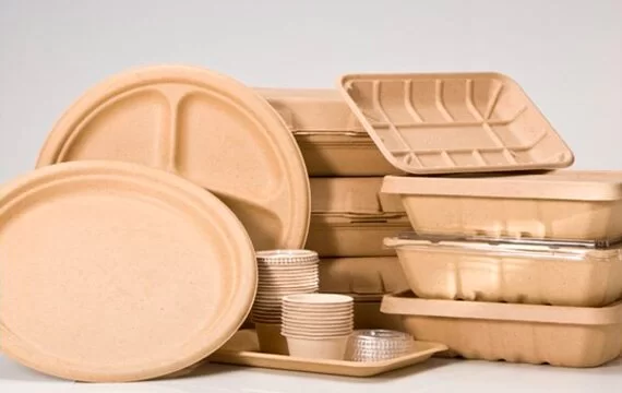 Прием литых изделий из бумаги во Владимирской области